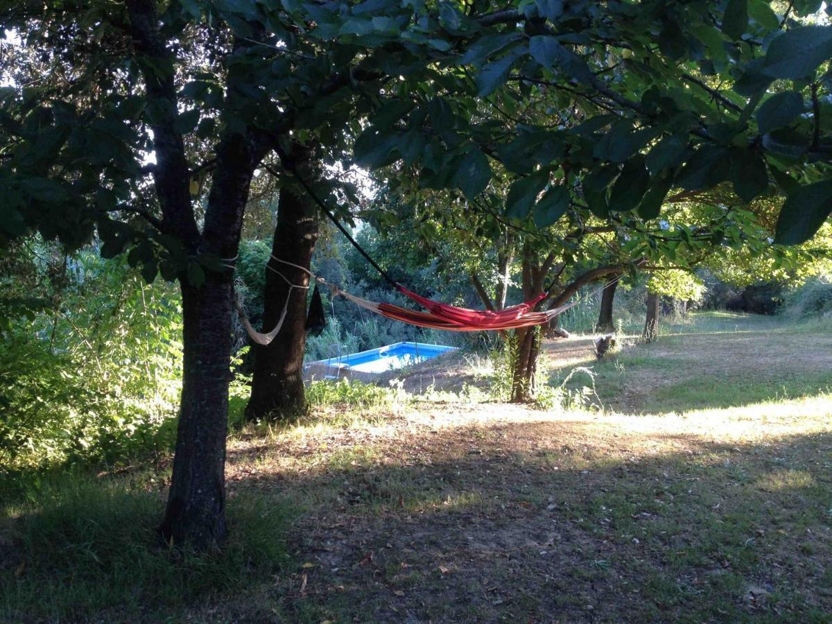 Agriturismo Bethsaid Fauglia Εξωτερικό φωτογραφία