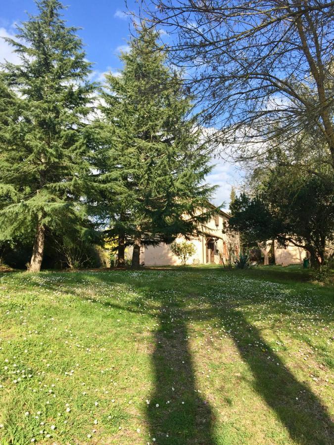 Agriturismo Bethsaid Fauglia Εξωτερικό φωτογραφία