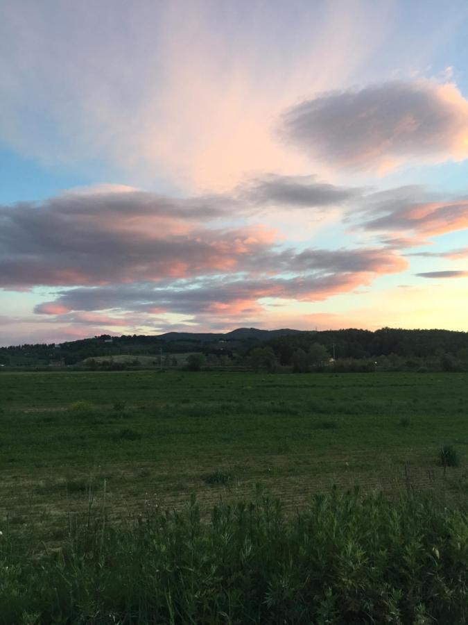 Agriturismo Bethsaid Fauglia Εξωτερικό φωτογραφία